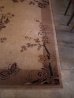 画像2: アンティーク　アーリーセンチュリー　ビクトリアン　絨毯　じゅうたん　巨大　蝶　風景画　ビンテージ (2)