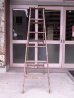 画像3: アンティーク　ウッドステップラダー　ペンキ　シャビー　はしご　木製脚立　超大型　6段　ビンテージ (3)