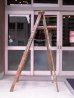 画像2: アンティーク　ウッドステップラダー　SAFTI TRED　ペンキ　シャビー　刻印　はしご　木製脚立　超大型　6段　ビンテージ (2)