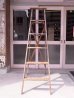 画像3: アンティーク　ウッドステップラダー　SAFTI TRED　ペンキ　シャビー　刻印　はしご　木製脚立　超大型　6段　ビンテージ (3)