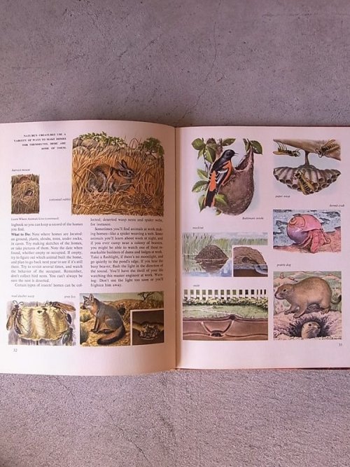 other photographs.3: アンティーク　洋書　NATURE CRAFTS　1958　本　古書　ビンテージ