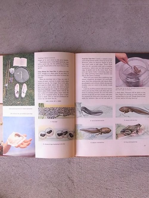 other photographs.2: アンティーク　洋書　NATURE CRAFTS　1958　本　古書　ビンテージ