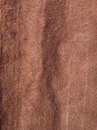 画像5: 19世紀　1850'S 1860’S 1870’S　ビクトリアン　ラグ　ブランケット　フラワー　アニマル　CHASE　アンティーク　ビンテージ