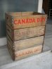 画像1: ボトルクレート　カナダドライ　CANADA DRY　ボトルケース　ウッドボックス　木箱　アドバタイジング　アンティーク　ビンテージ　その1 (1)