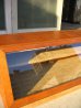 画像7: ショーケース　木枠ガラスショーケース　展示ケース　ディスプレーケース　2段　アンティーク　ビンテージ
