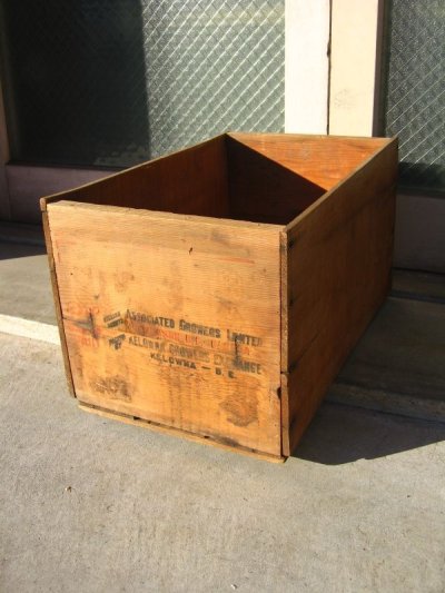 画像1: ウッドボックス　フルーツクレート　木箱　B.C. FRUIT　ストレージBOX　アドバタイジング　アンティーク　ビンテージ