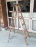 画像1: ウッド　ステップラダー　ラダー　はしご　梯子　木製　脚立　大型　6段　アンティーク　ビンテージ (1)
