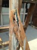 画像9: ウッド　ステップラダー　ラダー　はしご　梯子　木製　脚立　大型　6段　アンティーク　ビンテージ