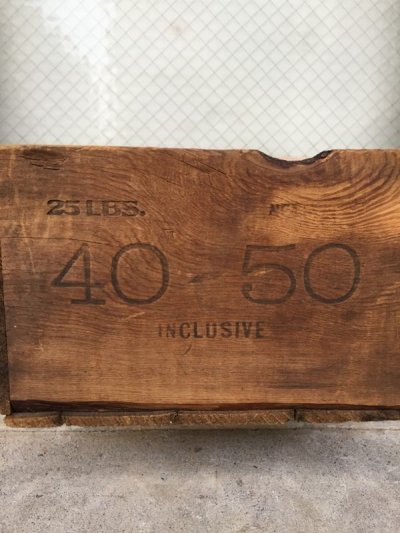 画像5: ウッドボックス　40-50　木箱　ストレージボックス　アンティーク　ビンテージ