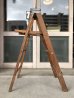 画像2: 1960'S　エクセレントコンディション　ステンシル　ウッド　ステップラダー　ラダー　はしご　梯子　木製　脚立　大型　4段　ペイント　シャビーシック　アンティーク　ビンテージ (2)