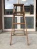 画像3: 1960'S　エクセレントコンディション　ステンシル　ウッド　ステップラダー　ラダー　はしご　梯子　木製　脚立　大型　4段　ペイント　シャビーシック　アンティーク　ビンテージ