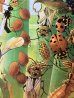 画像12: 1963　LIFE Nature Library THE PLANTS　ライフマガジン　プランツ　植物　ボタニカル　フォトグラフ　ピクチャー　ライフマガジン　増刊号　カメラマン　洋書　ライフ誌　本　ビンテージ　アンティーク