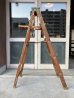 画像2: ウッド　ステップラダー　ラダー　グッドコンディション　はしご　梯子　木製　脚立　大型　5段　ペイント　シャビーシック　アンティーク　ビンテージ (2)