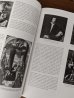 画像10: History of Art by H. W. Janson (Abrams, 1986)　洋書　アート本　ミケランジェロ　ミロ　エジプト　モアイ　ピカソ　アート　彫刻　スカルプチャー　アーキテクチャー　紀元前〜1980'S　アンティーク　ビンテージ