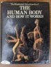 画像2: the human body how it works exter books　1979　Anatomica　人体の不思議　解剖図　アナトミカル　洋書　アート本　モダンアート　デザイン書　アンティーク　ビンテージ (2)