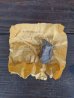 画像4: 1950'S 60'S　GOLD　ゴールドラッシュ　純金　体験採掘　ROCKY MOUNTAIN MINES　鉱石　旅の思い出　メモリアル　スーベニア　スーベニール　アドバタイジング　タイポグラフィー　ディスプレイ　アンティーク　ビンテージ