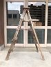画像5: ウッド　ステップラダー　ラダー　はしご　梯子　木製　脚立　大型　5段　スプラッターペイント　ペンキ　シャビーシック　アンティーク　ビンテージ