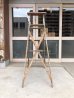 画像4: ウッド　ステップラダー　ラダー　はしご　梯子　木製　脚立　大型　5段　スプラッターペイント　ペンキ　シャビーシック　アンティーク　ビンテージ