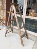 画像1: ウッド　ステップラダー　ラダー　はしご　梯子　木製　脚立　大型　5段　シャビーシック　アンティーク　ビンテージ (1)