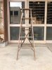画像2: ウッド　ステップラダー　ラダー　はしご　梯子　木製　脚立　大型　5段　シャビーシック　アンティーク　ビンテージ (2)