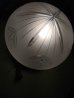 画像10: 1930’S 40'S　ビクトリアン　シーリングライト　1灯　ボタニカル柄　フロストガラスシェード　マットカラー　フラッシュマウント　アンティーク　ビンテージ