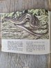 画像9: 1970's　2冊set　SNAKES of MISSOURI　Snakes　洋書　古本　イラストレーター　デザインのサンプリングに　ディスプレイに　アンティーク　ビンテージ