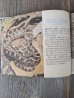 画像7: 1970's　2冊set　SNAKES of MISSOURI　Snakes　洋書　古本　イラストレーター　デザインのサンプリングに　ディスプレイに　アンティーク　ビンテージ