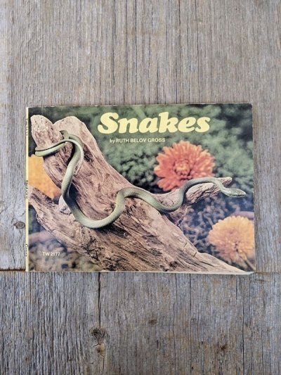 画像2: 1970's　2冊set　SNAKES of MISSOURI　Snakes　洋書　古本　イラストレーター　デザインのサンプリングに　ディスプレイに　アンティーク　ビンテージ