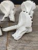 画像6: 1980'S ? 90'S ?　ダイナソー　ドロワープル　モダンアート　恐竜　T-REX　Triceratops　トリケラトプス　ティラノサウルス　取手　取っ手　ドロワー　アルミ合金　真鍮　キャビネットなどに　コートハンガーなどに　ビンテージ