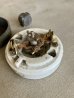 画像14: 1900'S 10'S　ARROW　アメリカ製　シャビーシック　パティナ　PATINA　サーフェイススイッチ　ロータリースイッチ　ターンスイッチ　スナップスイッチ　ブラス　ニッケルメッキ　ポーセリン　中型　アンティーク　ビンテージ