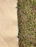 画像18: 1920'S 30'S　レア　L.L.BEAN × HUDSON'S BAY　4POINT　ポイントブランケット　ラグマット　エルエルビーン　L.L.ビーン　ハドソンベイ　イギリス製　MADE IN ENGLAND　ヴィンテージ　ブランケット　２０年代　３０年代　黒タグ　初期タグ　SPECIAL!!　アンティーク　ビンテージ