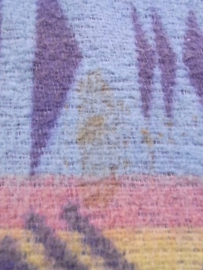 画像2: アンティーク　インディアンラグ　ブランケット　毛布　ファブリック　ラグマット　ネイティブ柄　ビンテージ