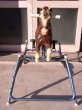 画像2: アンティーク　ライディング・トイ　ロッキングホース　馬乗り遊具　ビンテージ (2)