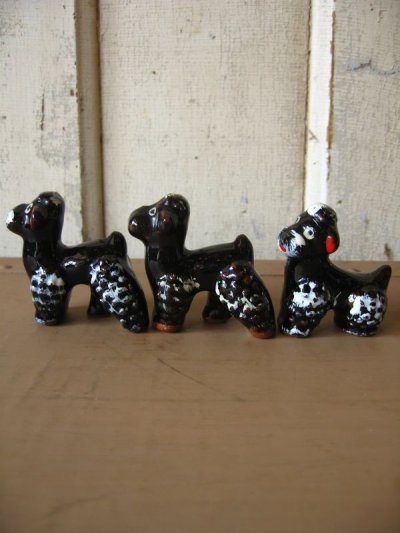 画像1: 50’S　プードル　小型犬　オブジェ　ブラック　陶器　5pcs set　アンティーク　ビンテージ