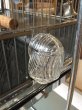 画像6: 1930'S 40'S　バードケージ　CROWN　GLASS FEEDER　スタンド付き鳥かご　bird cage　アイアン　ガラス　アンティーク　ビンテージ (6)