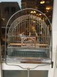 画像2: 1930'S 40'S　バードケージ　CROWN　GLASS FEEDER　スタンド付き鳥かご　bird cage　アイアン　ガラス　アンティーク　ビンテージ (2)