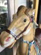 画像14: カルーセルホース　Musical Carousel HORSE　オルゴール　メリーゴーラウンド　メリーゴーランド　キッズトイ　遊園地　サーカス　ディスプレイ　撮影小物　アンティーク　ビンテージ  (14)