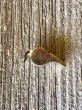 画像5: 1940'S 50'S　ミリタリー ホイッスル　noble metal whistle　made in japan　鉄　ブラス　アンティーク　ビンテージ (5)