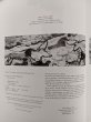 画像8: History of Art by H. W. Janson (Abrams, 1986)　洋書　アート本　ミケランジェロ　ミロ　エジプト　モアイ　ピカソ　アート　彫刻　スカルプチャー　アーキテクチャー　紀元前〜1980'S　アンティーク　ビンテージ (8)