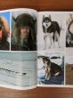 画像12: 1980's　1987年　洋書　ALASKA　旅行　アラスカ州　スーベニールブック　写真集　アンティーク　ビンテージ (12)