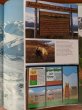 画像7: 1980's　1987年　洋書　ALASKA　旅行　アラスカ州　スーベニールブック　写真集　アンティーク　ビンテージ (7)