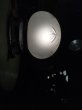 画像8: 1930’S 40'S　ビクトリアン　シーリングライト　1灯　ボタニカル柄　フロストガラスシェード　マットカラー　フラッシュマウント　アンティーク　ビンテージ (8)