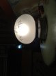 画像6: 1930’S 40'S　ビクトリアン　シーリングライト　1灯　ボタニカル柄　フロストガラスシェード　マットカラー　フラッシュマウント　アンティーク　ビンテージ (6)