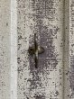 画像20: 1930'S 40'S　フック　カウンターボトムマウントフック　ダブルフック　シャビーシック　ラスティーゴールド　パティナ　パティーナ　PATINA　中型　キャストアイアン　アンティーク　ビンテージ (20)