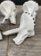 画像6: 1980'S ? 90'S ?　ダイナソー　ドロワープル　モダンアート　恐竜　T-REX　Triceratops　トリケラトプス　ティラノサウルス　取手　取っ手　ドロワー　アルミ合金　真鍮　キャビネットなどに　コートハンガーなどに　ビンテージ (6)