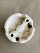 画像10: 1920'S 30'S　LEVITON　USA　アメリカ製　サーフェイススイッチ　スナップスイッチ　トグルスイッチ　レバースイッチ　ベークライト　ポーセリン　アンティーク　ビンテージ (10)