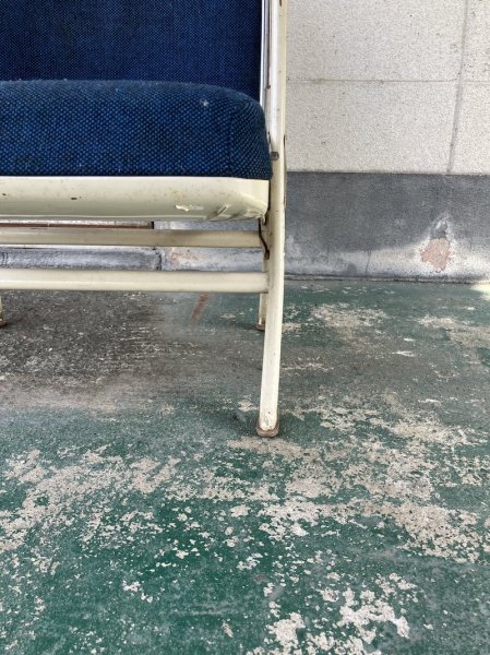 ※左前脚やや曲がりあり