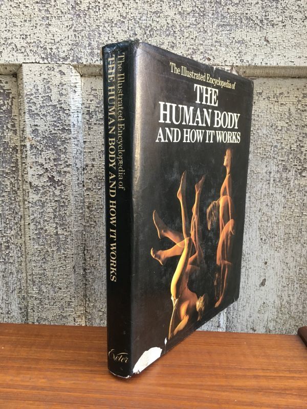 the human body how it works exter books 1979 Anatomica 人体の